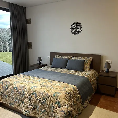 Casa Da Padroa Apartment Braga