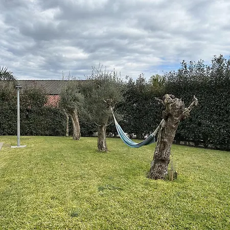 Casa Da Padroa Braga